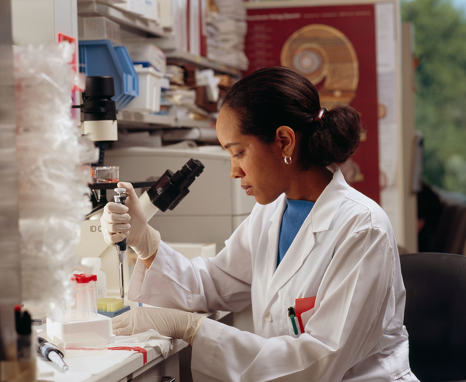 Researcher pipetting at a microscope bench